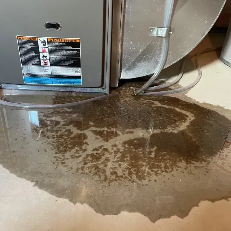 Appliance Leak Cleanup in Coquille, OR